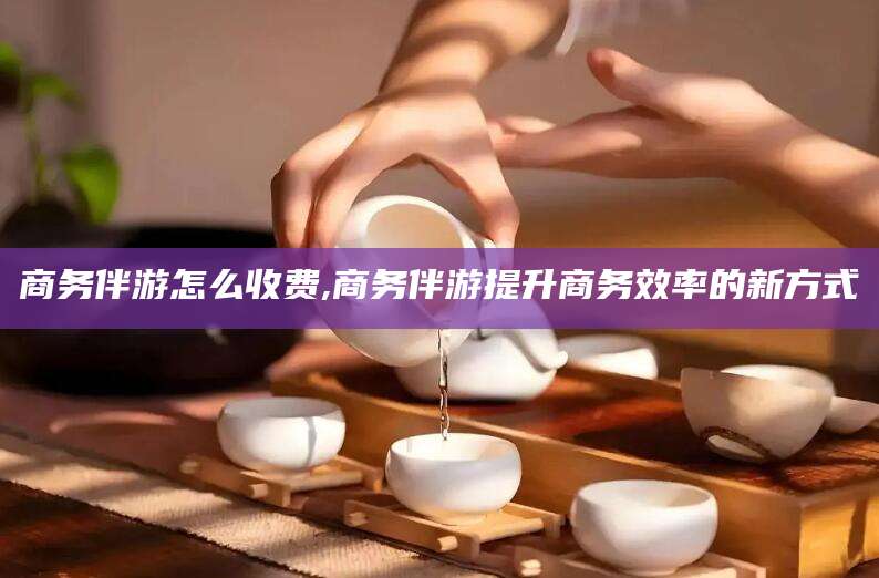 黄冈商务伴游怎么收费,商务伴游提升商务效率的新方式